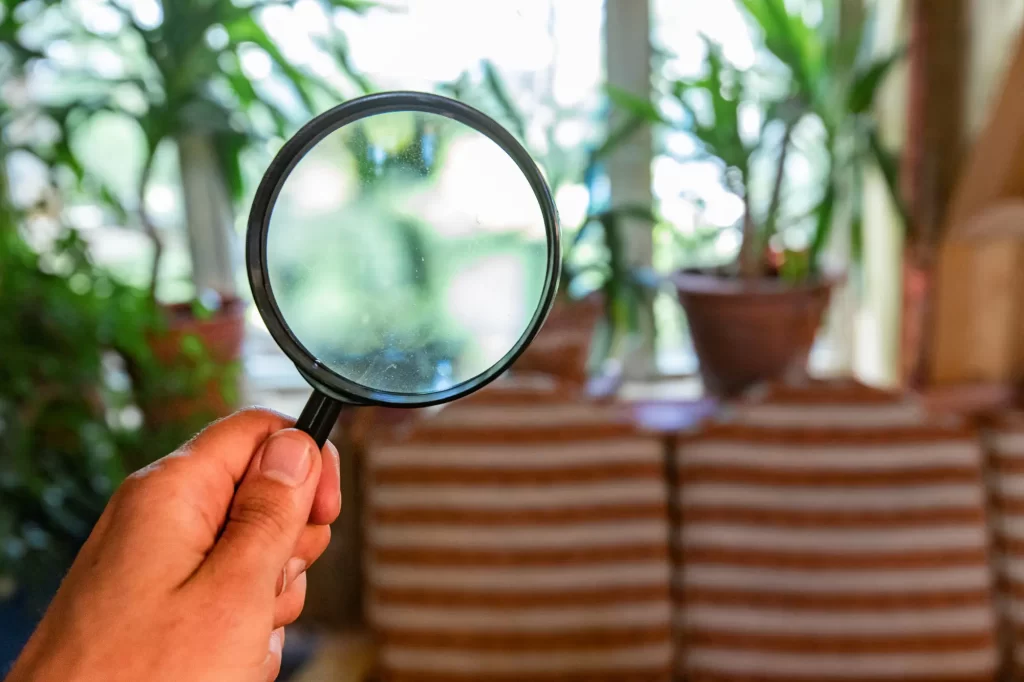 Decorative image of a person using a magnifying glass to inspect for mildew