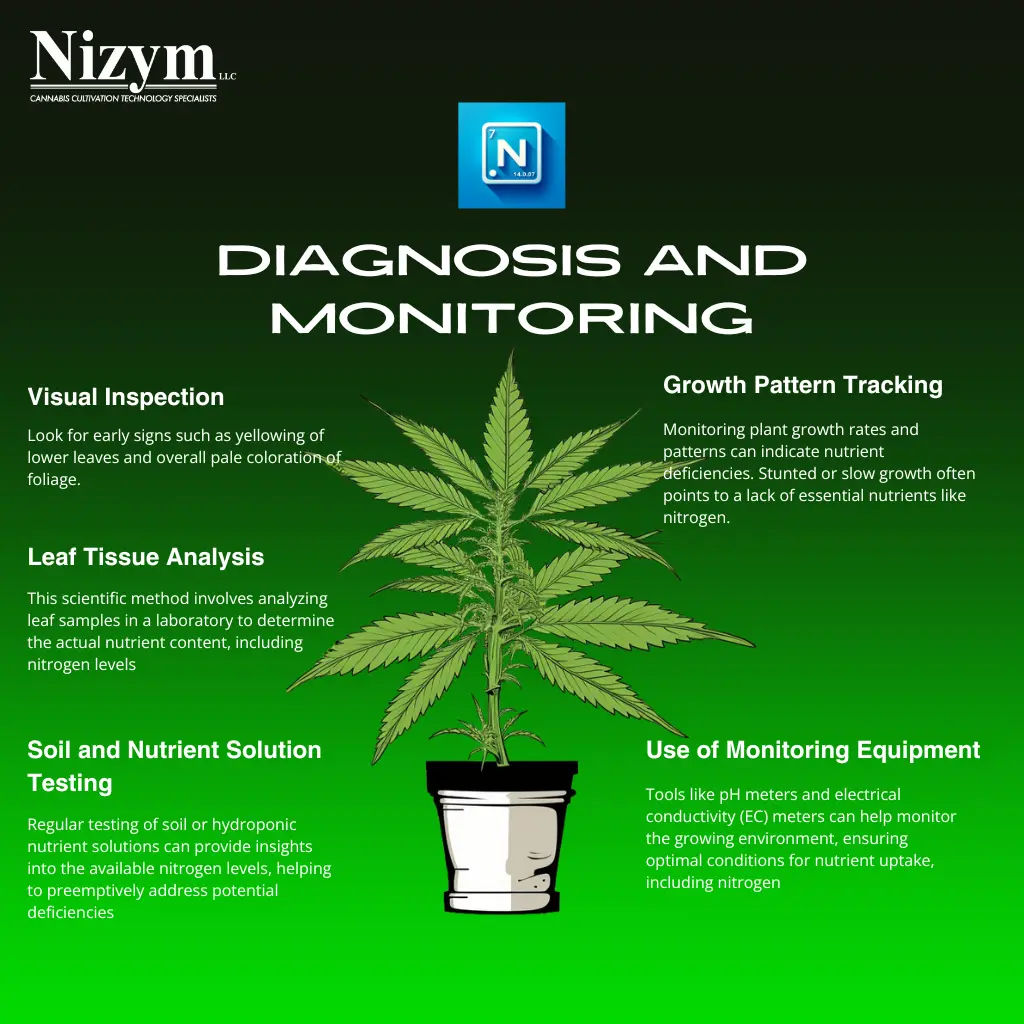 Scientific Poster Diagram of Diagnosis and Monitoring strategies for Nitrogen Deficiency in Cannabis