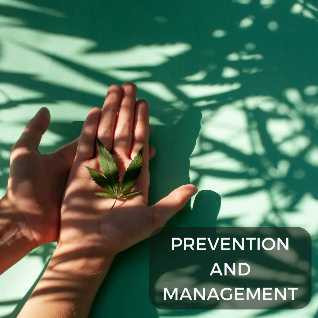 Stylized image of a pair of hands holding a marijuana leaf with text that reads "Prevention and Management" overlaid on the image